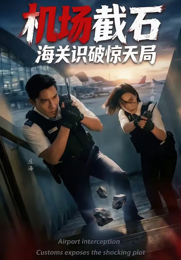 机场截石,海关识破惊天局