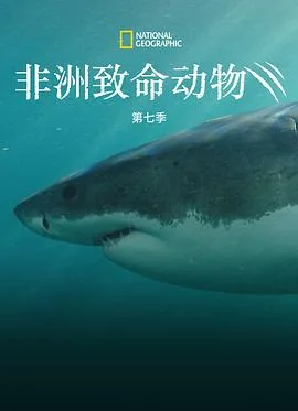 非洲致命动物第七季
