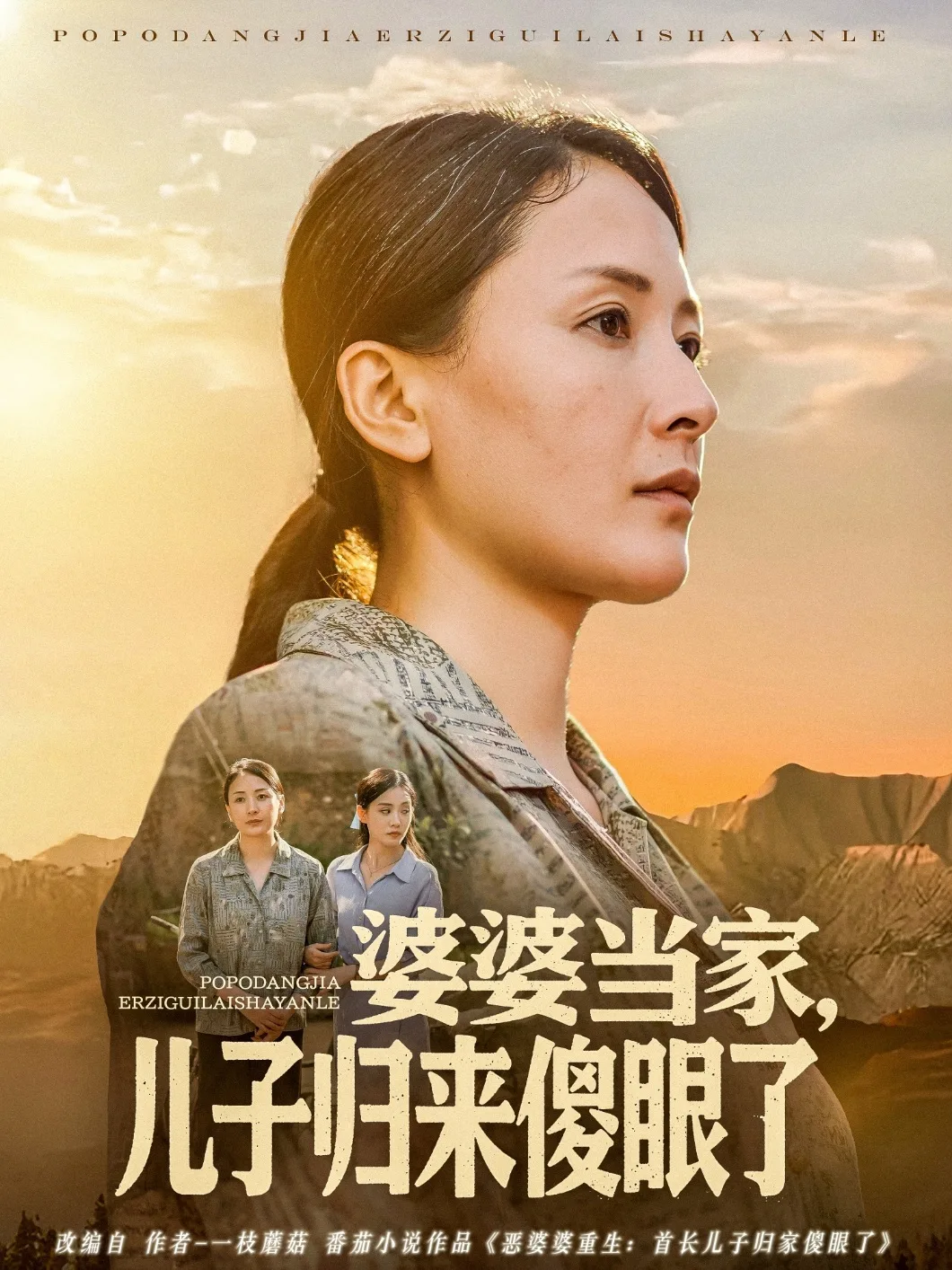 婆婆当家儿子归来傻眼了